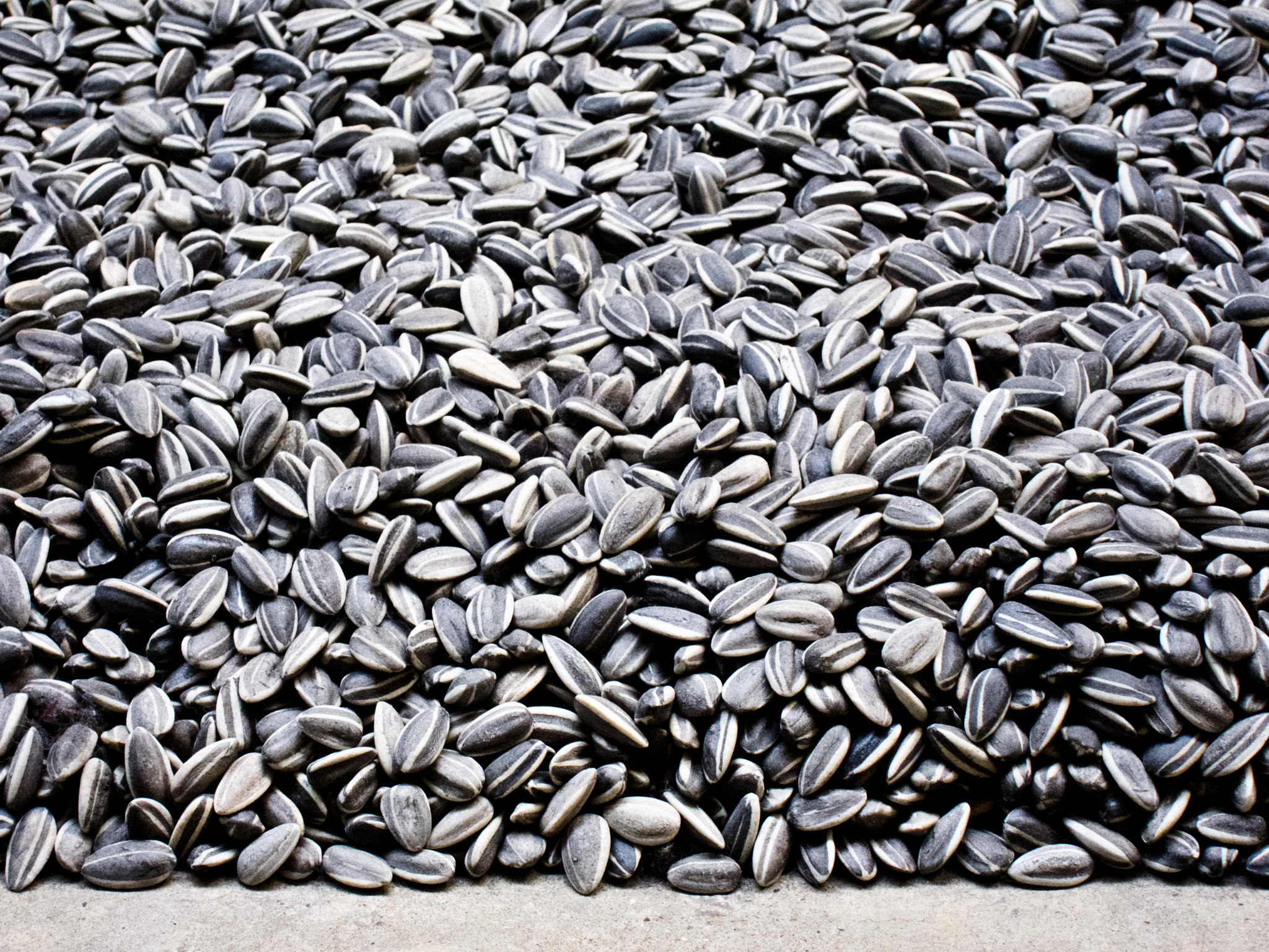 20110322  AZ Sonstige IMG 0367