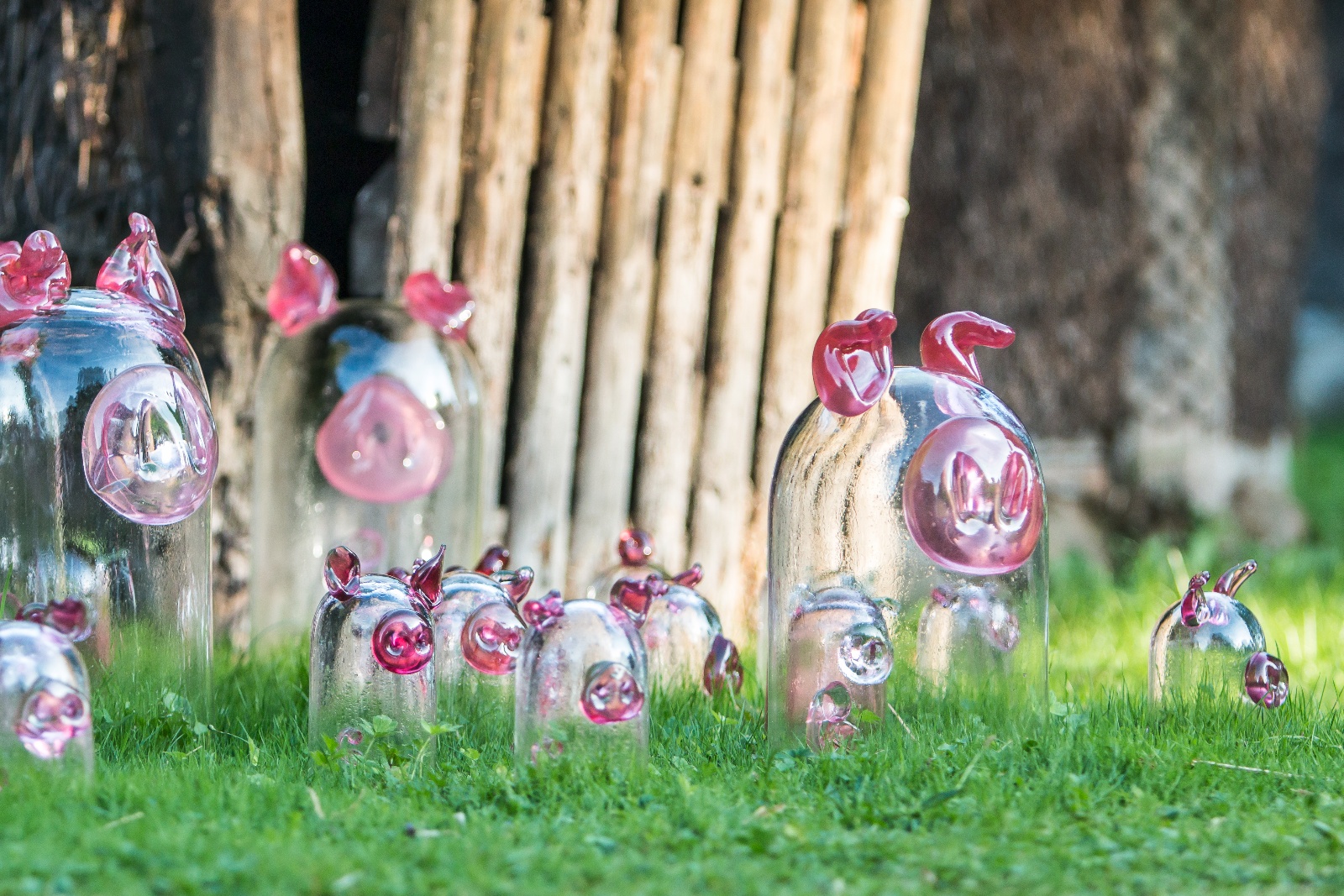 GlasPlastikUndGarten2016 007a