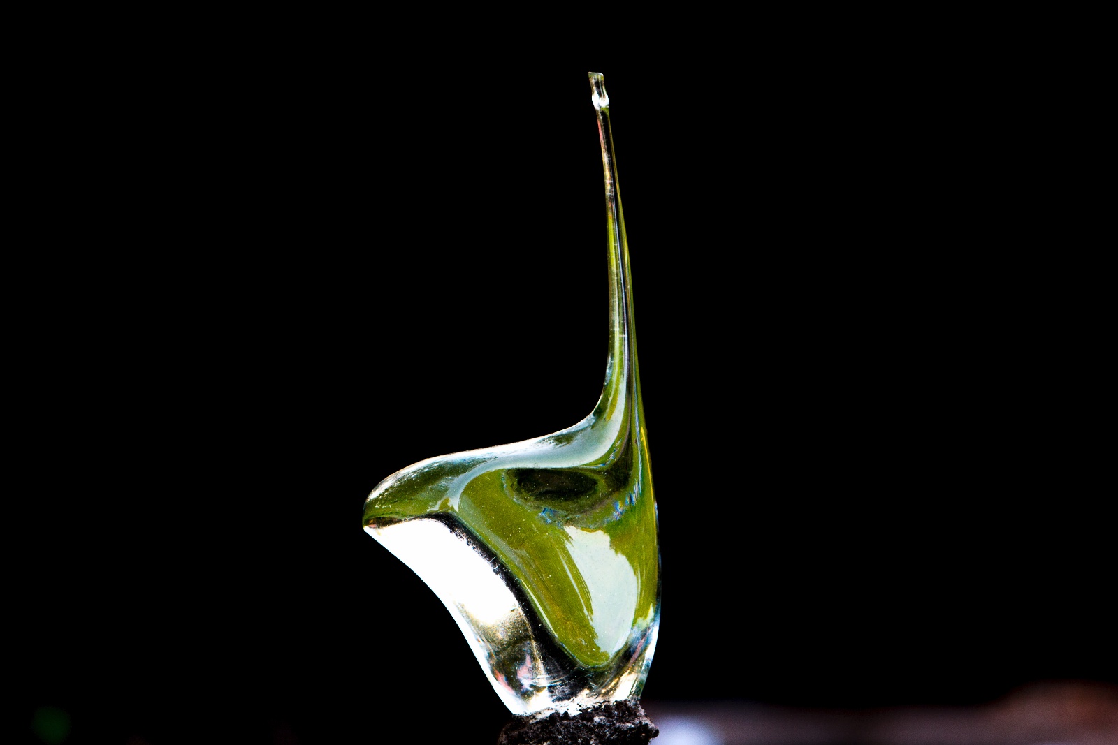 GlasPlastikUndGarten2016 010