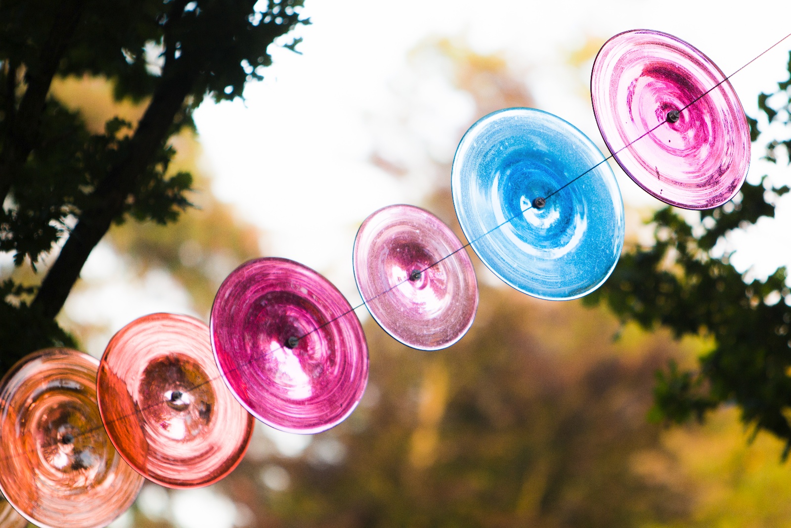 GlasPlastikUndGarten2016 011