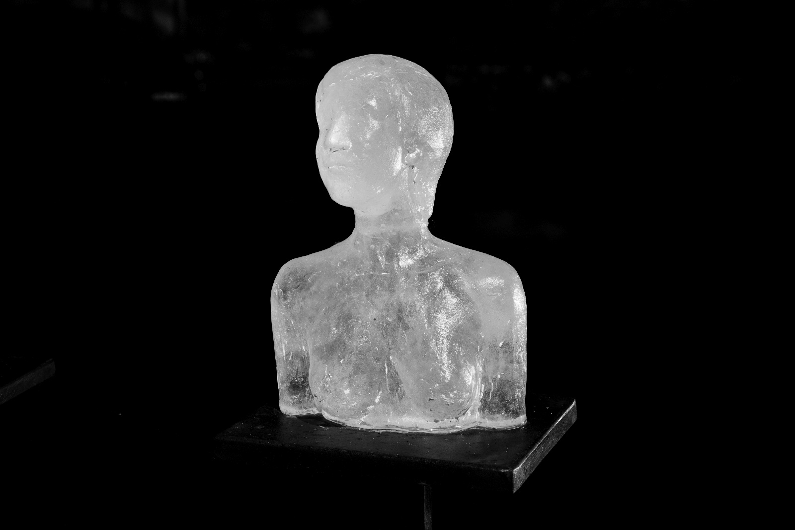 GlasPlastikUndGarten2016 013