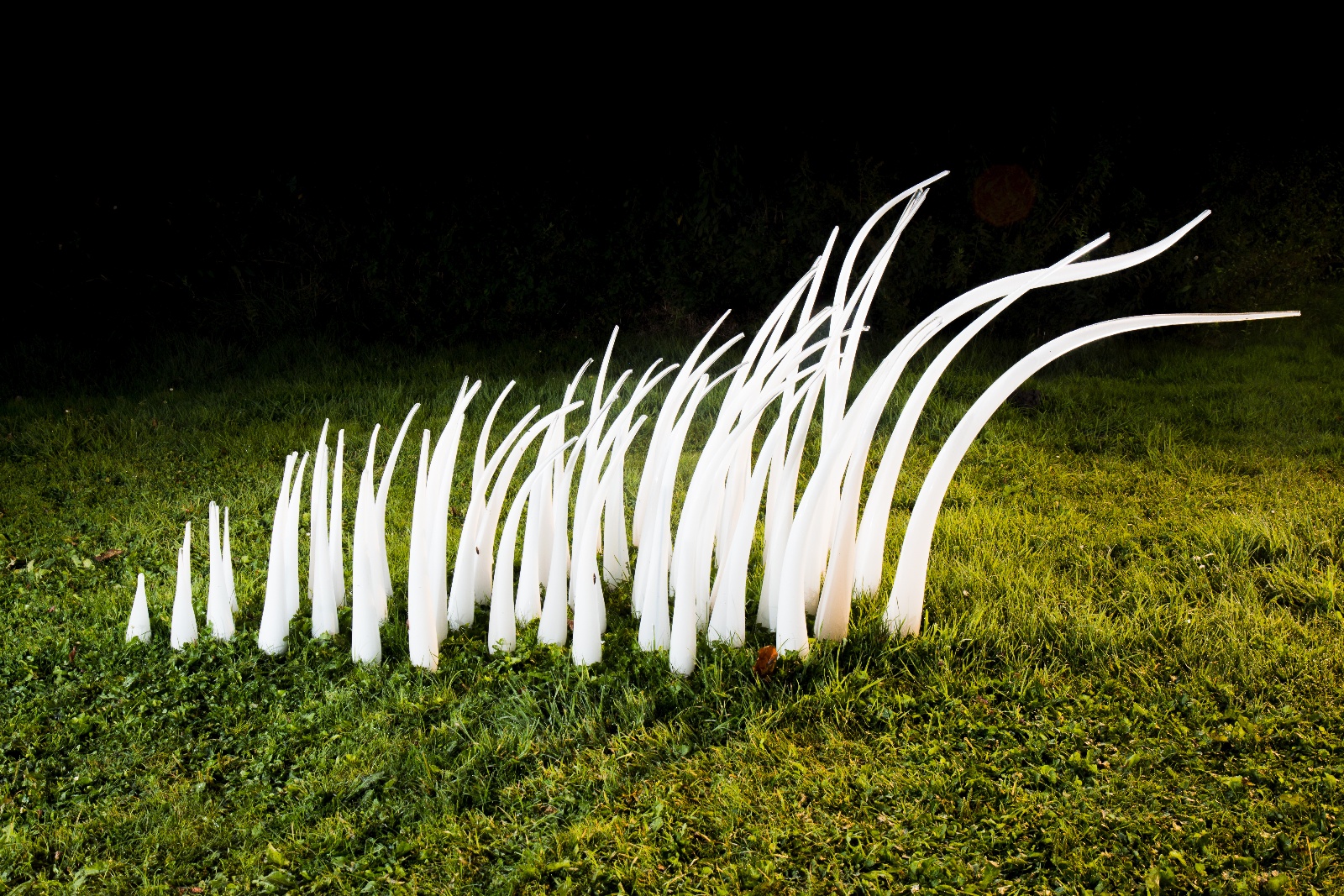 GlasPlastikUndGarten2016 018