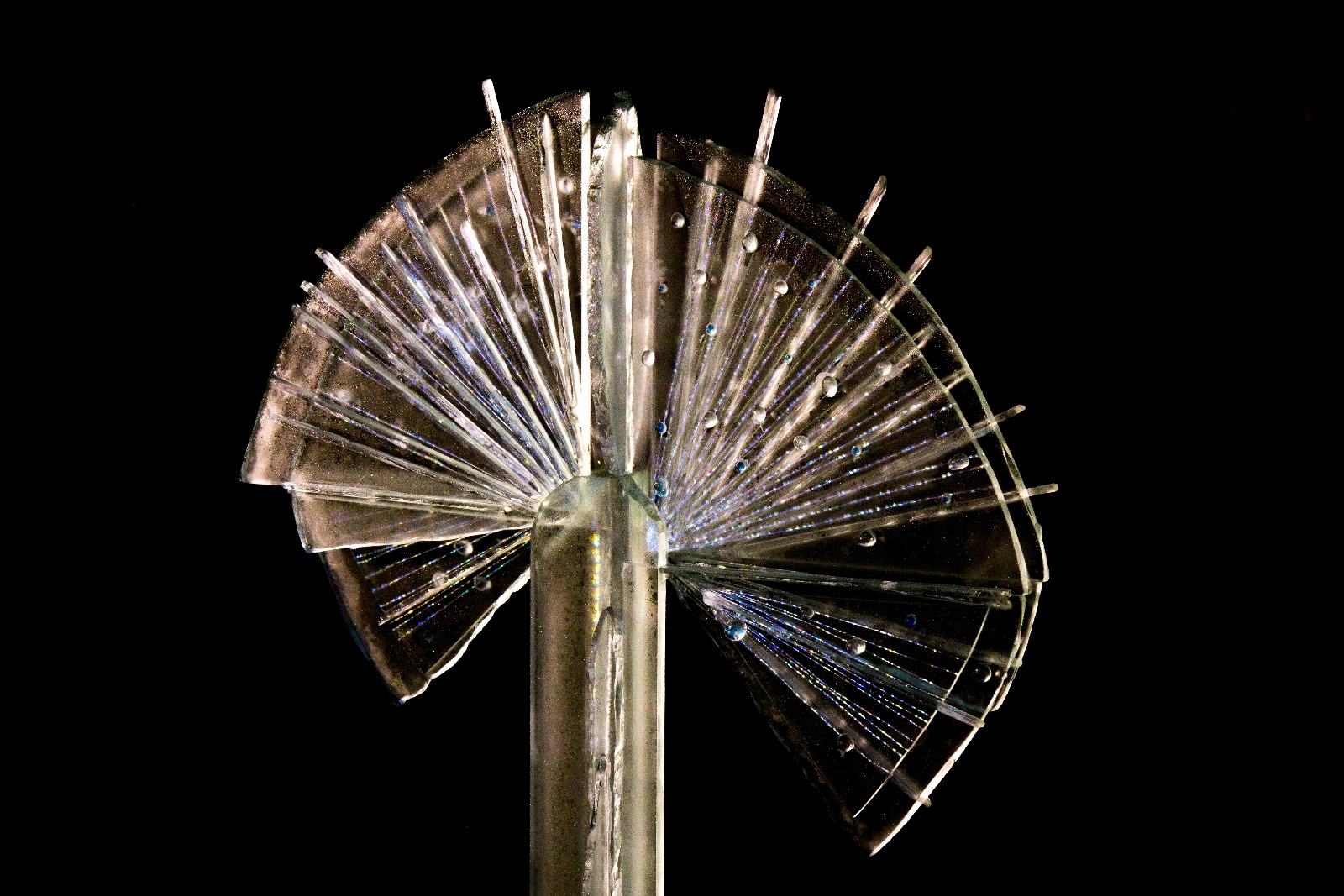 GlasPlastikUndGarten2016 019a