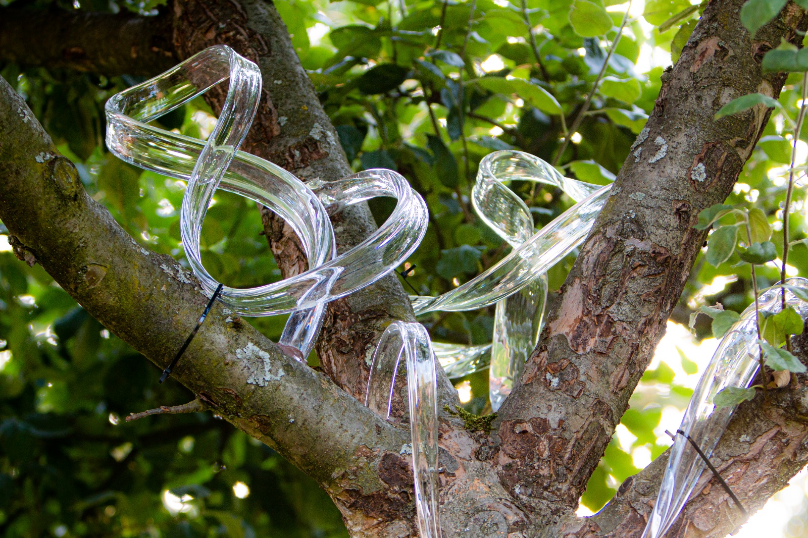 Glasplastik und Garten in Munster 2019