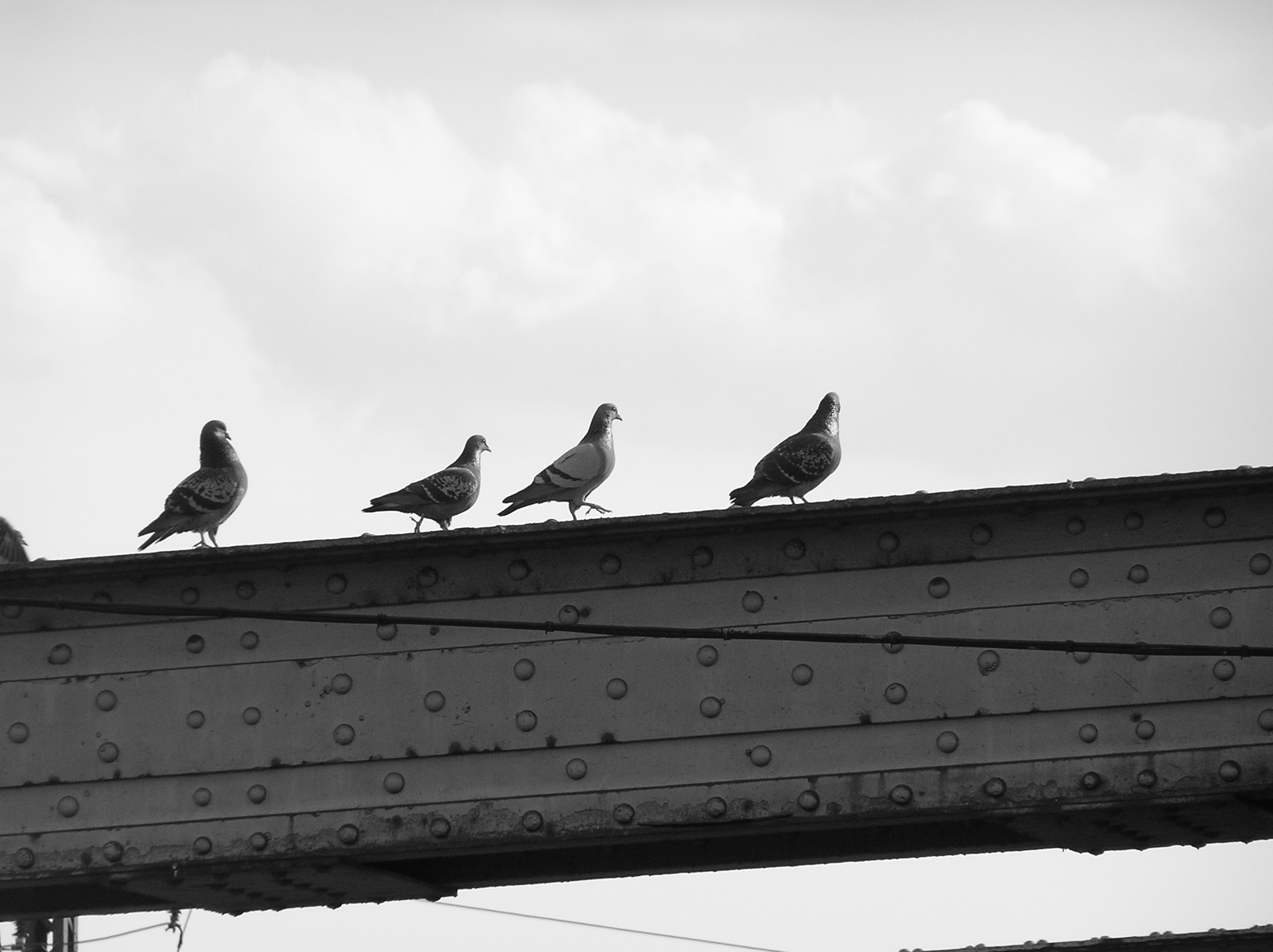 Walking atop a steel beam
