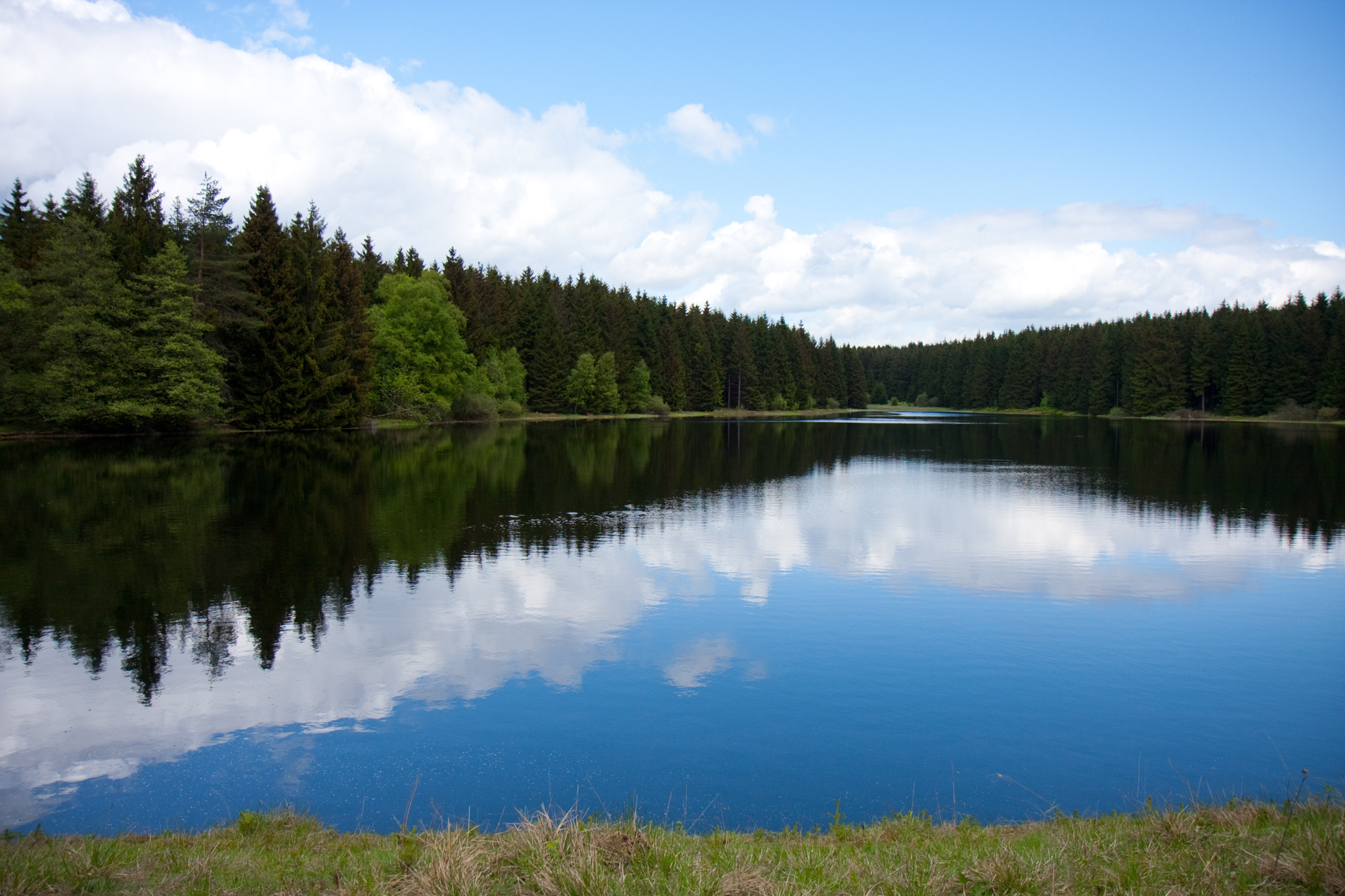 Oberharzer Wasserregal