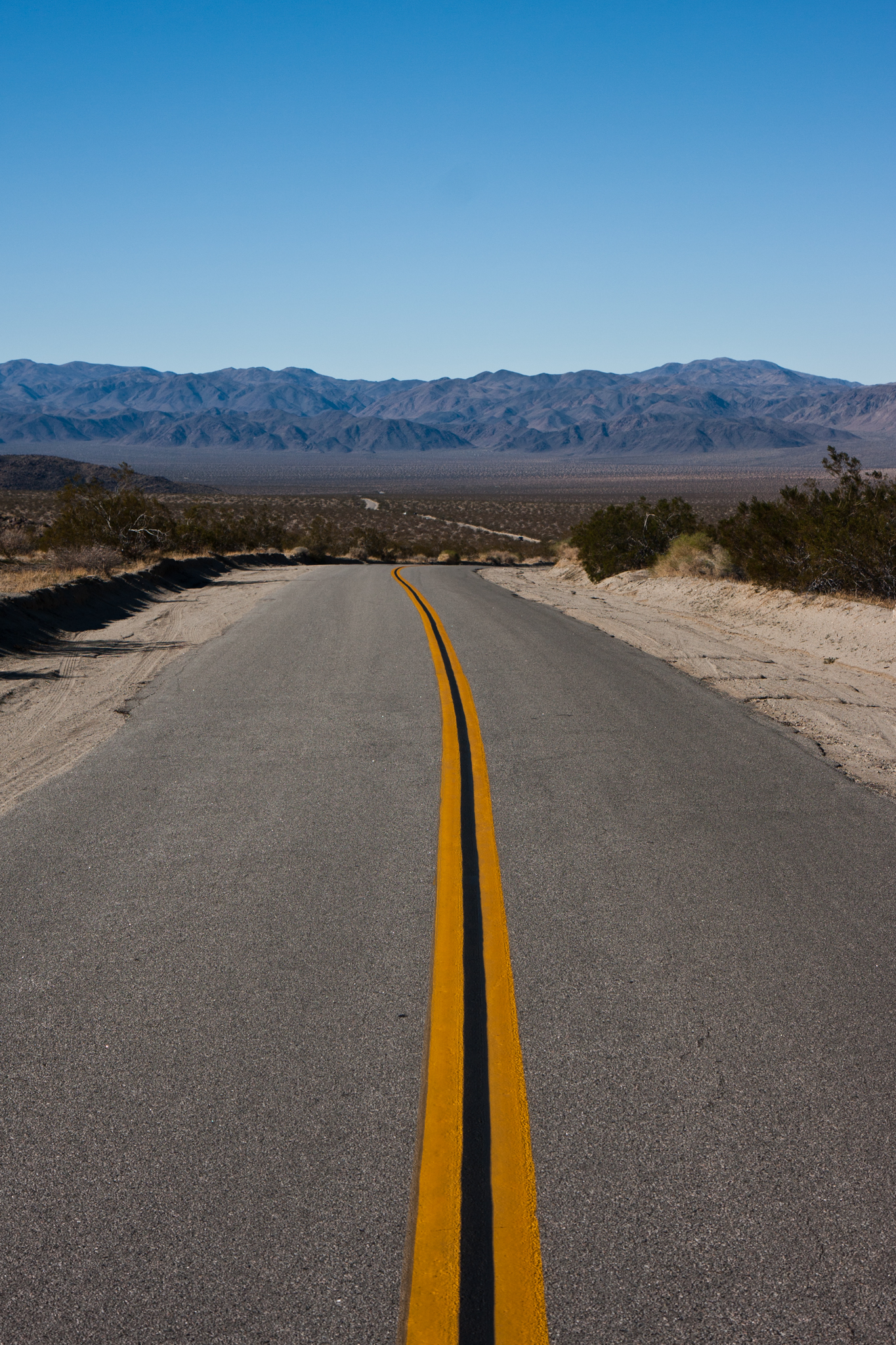 Joshua Tree Road