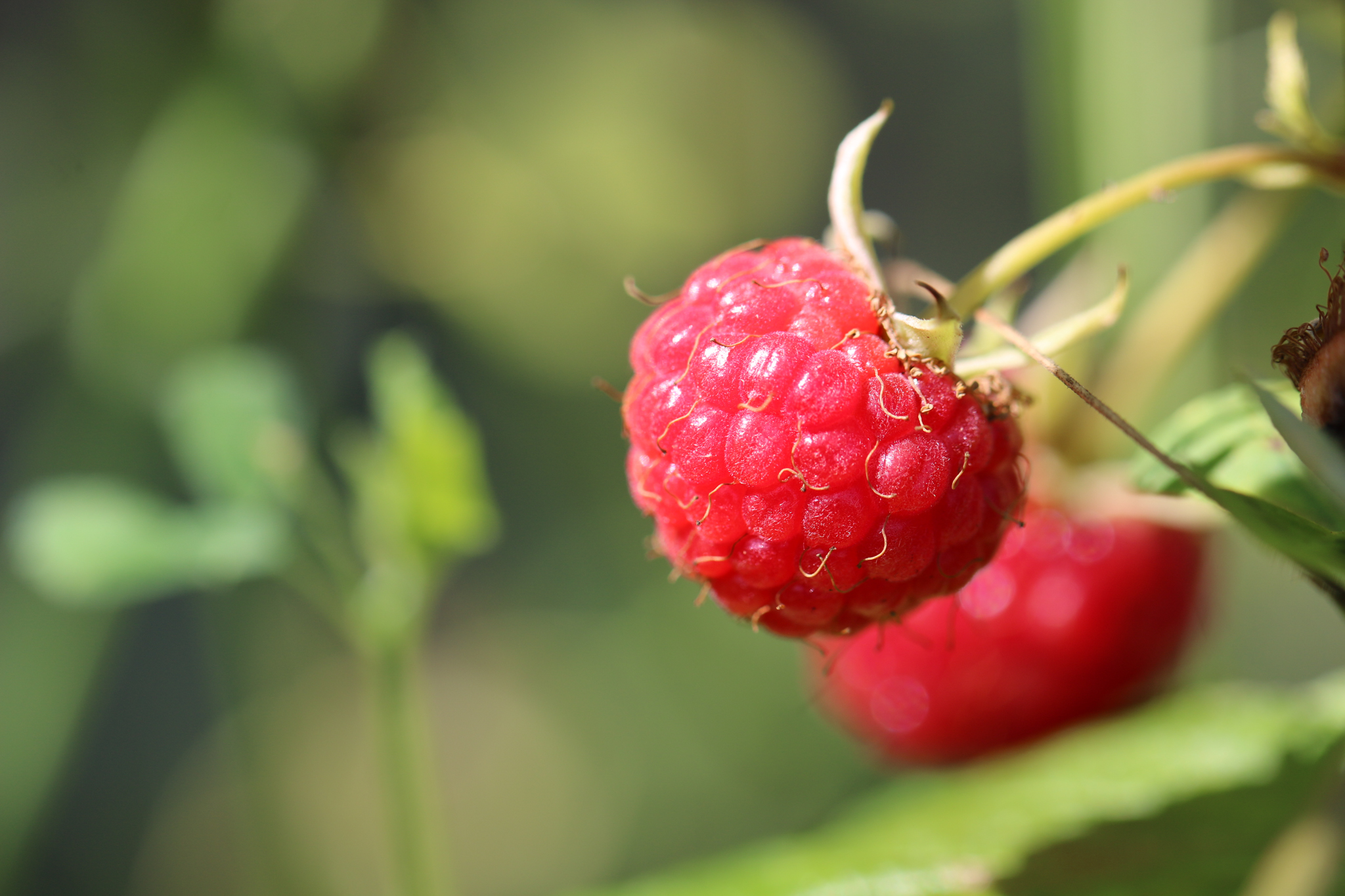 20200828  AZ Land IMG 0233