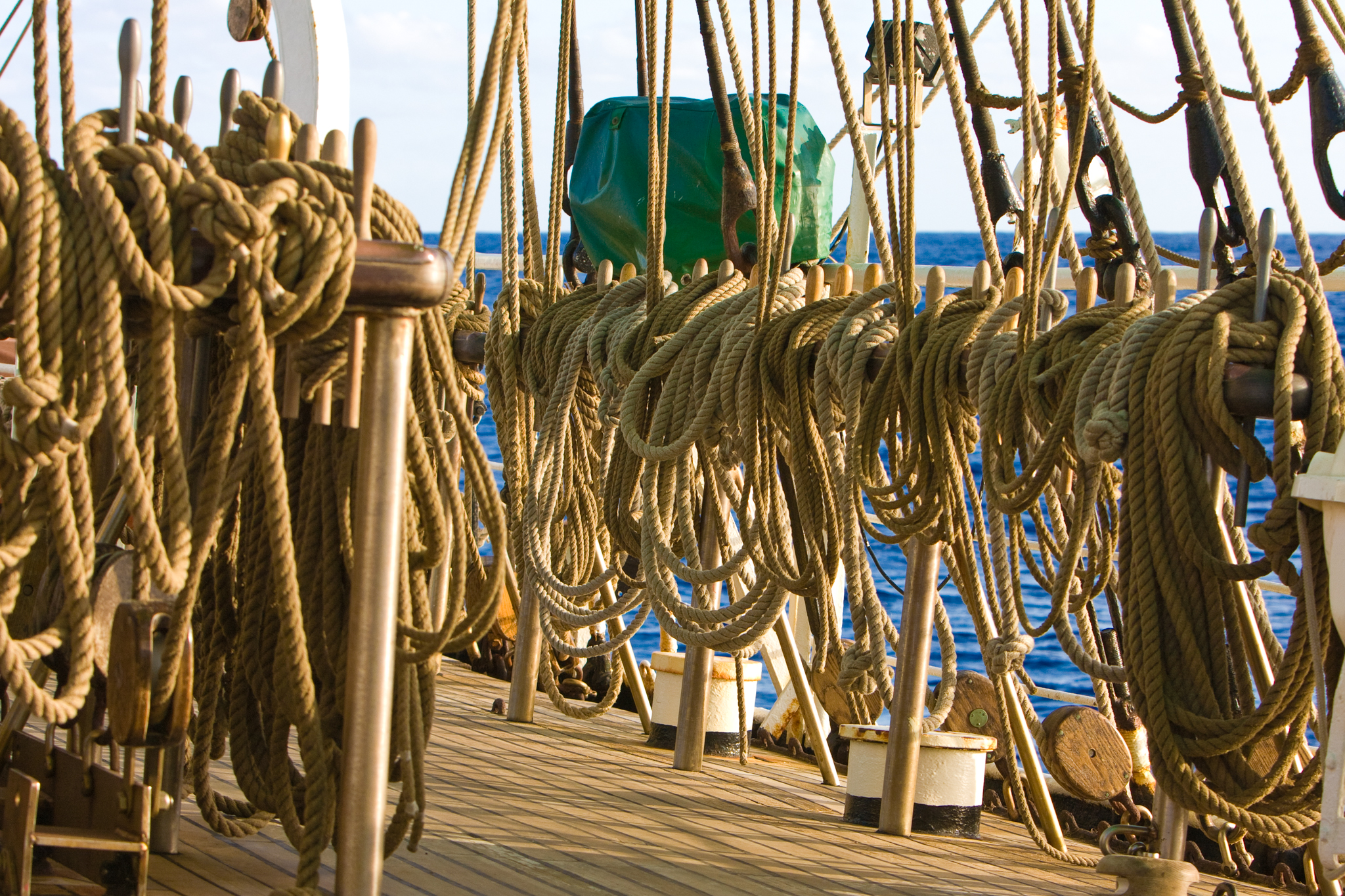 Alex von Humboldt I (3)